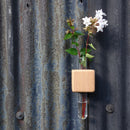 Smart Magnet Cube Vase Trio