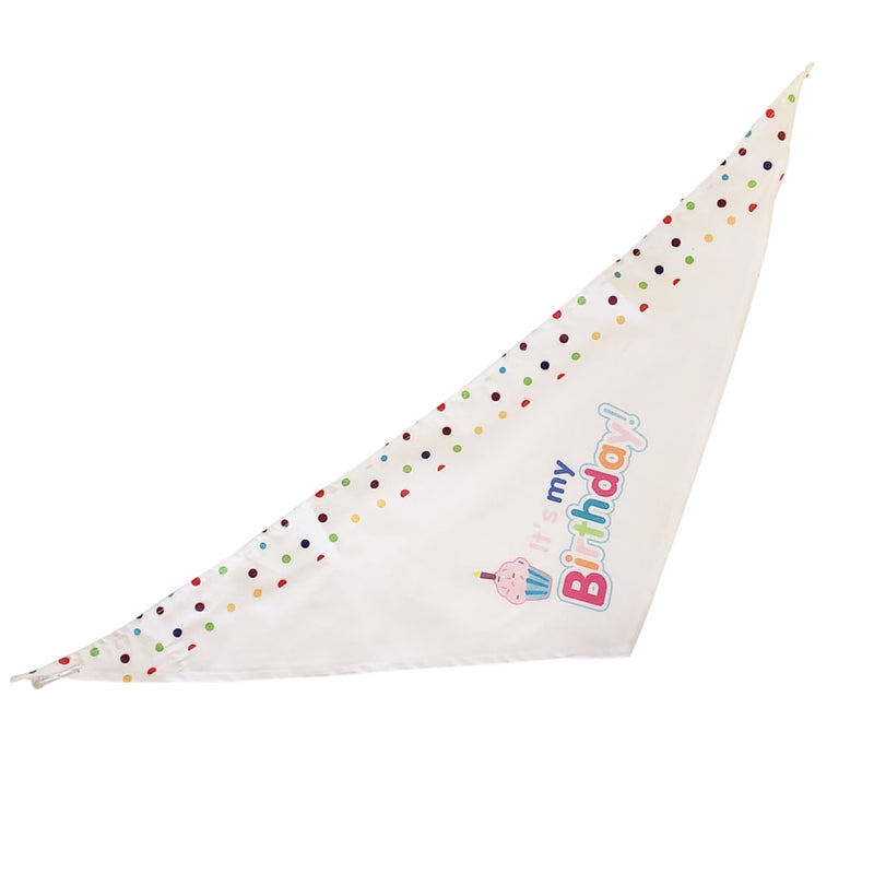 4-Piece Dog Birthday Kit