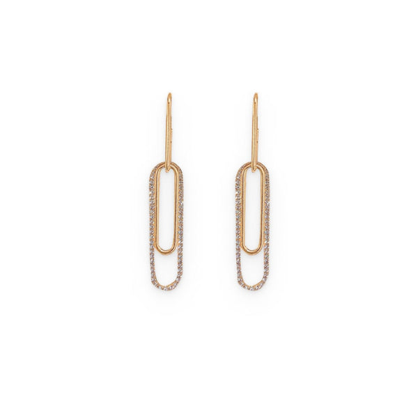 Oblong Shiny Earrings
