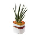 Big Treasure Vessel Planter