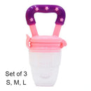 Fruit Feeder Pacifier