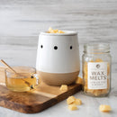 Electric Wax Warmer
