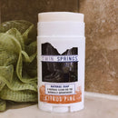 Citrus Pine Travel Soap Stick