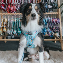 Tropicana' Dog Fabric Leash